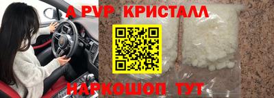прущие грибы Будённовск