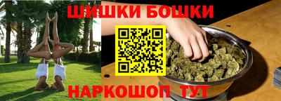 прущие грибы Будённовск
