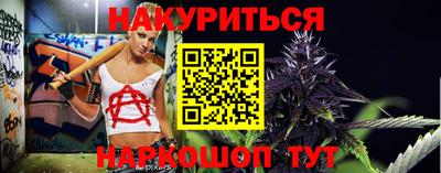 прущие грибы Будённовск