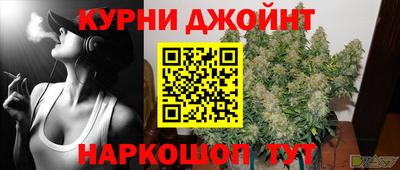 прущие грибы Будённовск