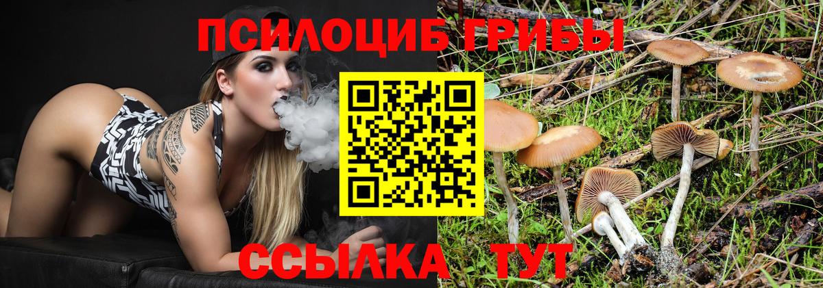 Кострома  Псилоцибиновые грибы Psilocybe  Галлюциногенные грибы Cubensis  Вход с VPN 