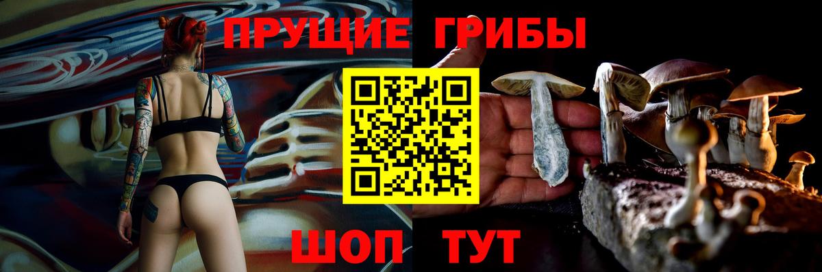 Псилоцибиновые грибы Cubensis Кострома
